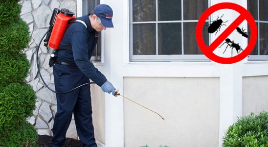 Naldöken Bit İlaçlama böcek ilaçlama ve haşere kontrolü — ilaclama-tr.com